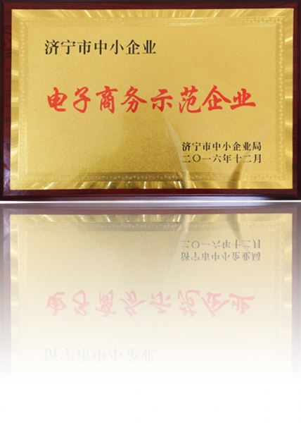 電子商務示范企業(yè)